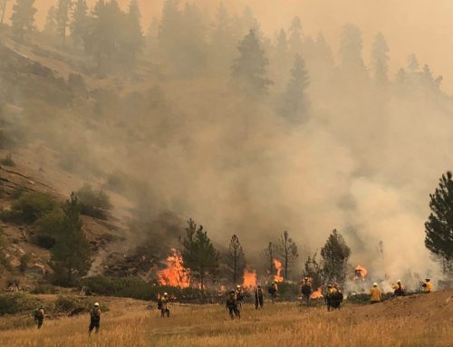 July 2 is National Wildland Firefighter Day