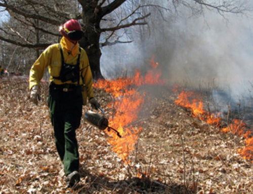 Prescribed Burn near Upper Wheeler Reservoir Planned for this Week