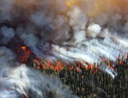 With 10 Large Wildfires Burning Across 200,000 Acres and Extreme Fire Conditions Ahead, DNR Shores up Resources With The National Guard