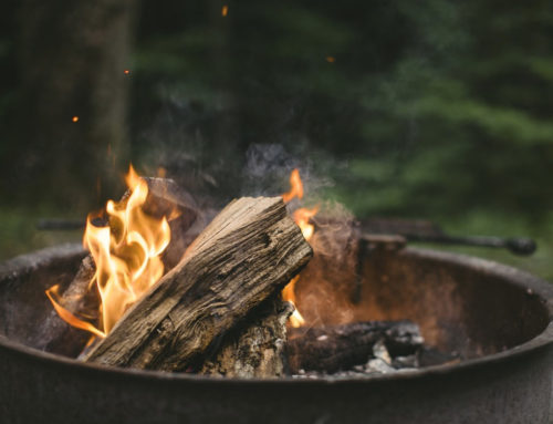 Campfire Ban Put into Place