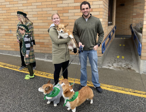 Bring On The Dogs!