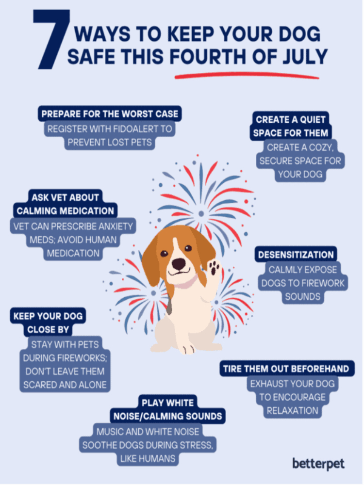 7 Tips for Keeping Dogs Safe During Fireworks