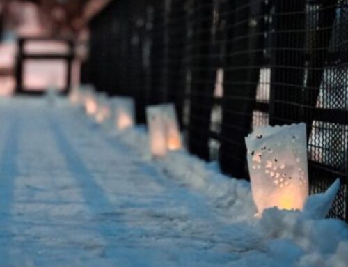 Luminary Walk Celebrates Winter Solstice