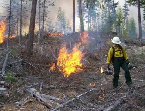 Prescribed Fire and Fuels Reduction Work to Occur this Fall