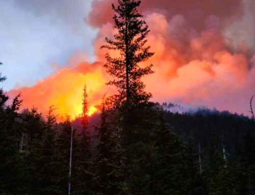 Senator Hawkins Issues Statement on Summer Wildfires