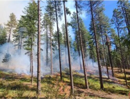 Upper Wenatchee Pilot Project Forest Resilience Bond Launch