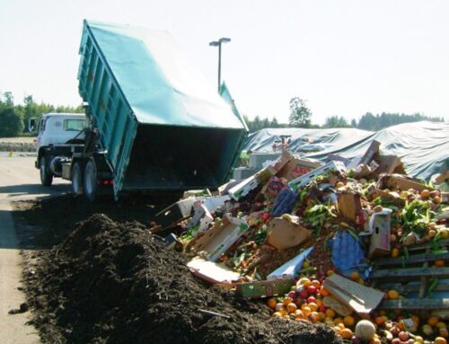 Help Shape the Future of Organics Recycling in Washington