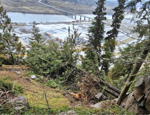 Helicopter to Remove Fallen Trees from Ohme Gardens