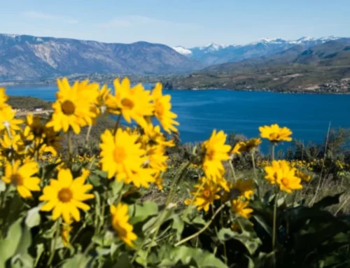 Visit Chelan County Looks to 2027 with Plans to Further Strengthen Tourism’s Year-Round, Countywide Economic Impact
