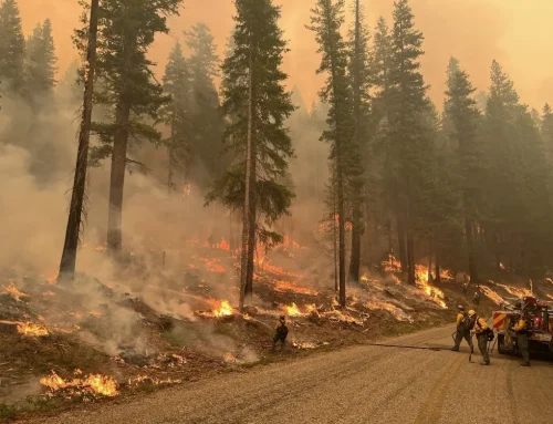 Little Giant Fire Update – Monday, August 17, 2026