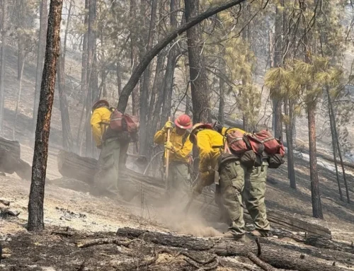 Entiat Damage Assessment Update