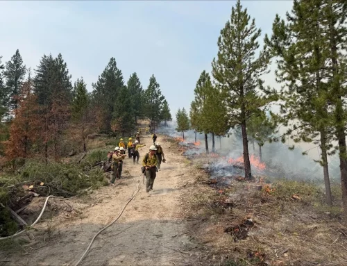 Little Giant Fire Update – Thursday, August 20, 2026