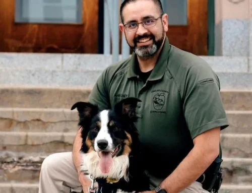 Retired K9 Gambit Passes Away Unexpectedly